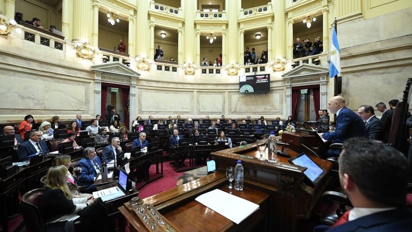 El Senado nacional rechazó el veto presidencial a la Ley de Emergencia en Discapacidad